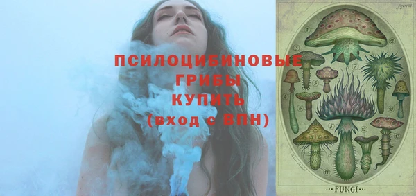 прущие крисы Инсар
